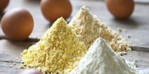 Egg Powder