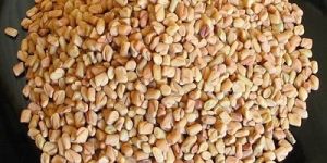Fenugreek Seed