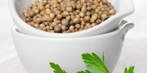 Coriander Seeds