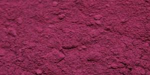 Dehydrated Beet Root Powder