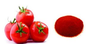 Spray Dried Tomato Powder