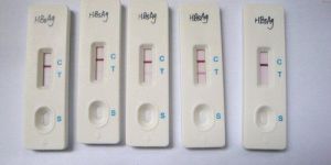 Hbsag Rapid Test Kits