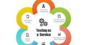 Testing Services