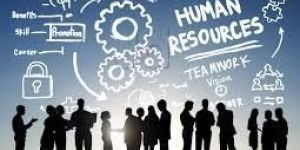 HR Consultancy Services