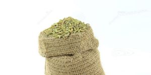 Fennel Seeds