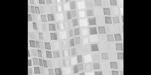 Embossed Shower Curtain