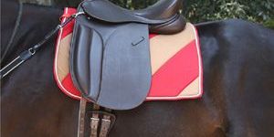 Dressage Saddle