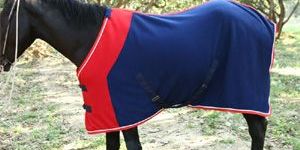 Fleece Rugs