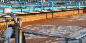 Water Purification Plant