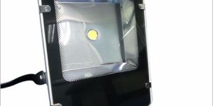 LED Flood Light