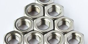 Stainless Steel Nuts