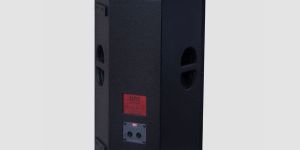 Line Array Speaker System