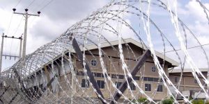 Razor Tape Concertina Coil