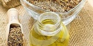 Fennel Seed Oil