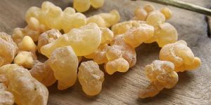 Frankincense Gum