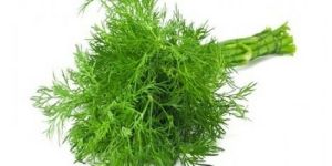 Dill