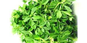 Methi