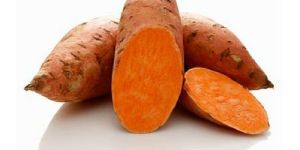 Sweet Potato