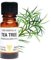 Tea Tree Oil