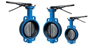 Butterfly Valve