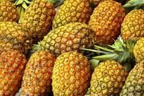 Queen and Kew Pineapples