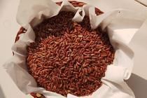 Red Rice