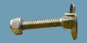 Fang Bolt