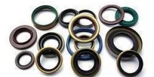 Oil Seal