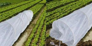 Crop Shield Crop Covers