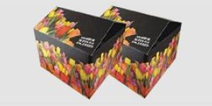 Multi Colored Corrugated Box