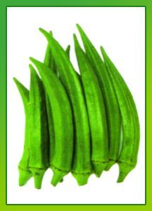 Okra