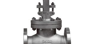 Globe Valve