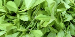 Methi