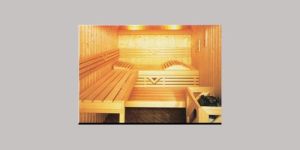 Sauna Cabin