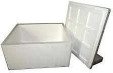 Thermocol Box