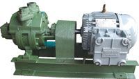 Water Ring Vacuum Pumps