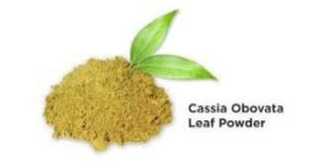 Cassia Obovata
