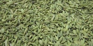 Fennel Seeds