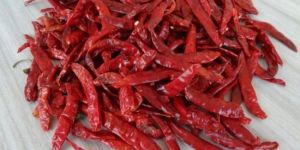 Dried Red Chilli
