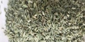 Fennel Seeds