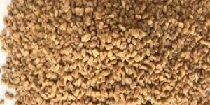 Fenugreek Seeds