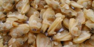 Yellow Clam Meat