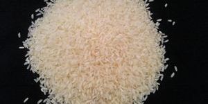 Sona Masoori Steam Rice