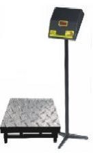 Heavy Duty Platform Scale
