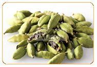 Cardamom