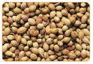 Coriander Seeds