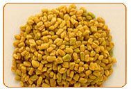 Fenugreek Seeds