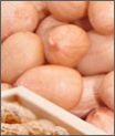 Groundnut