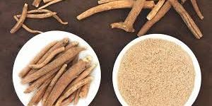 Ashwagandha Extract