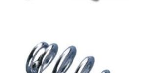 Seat Spring